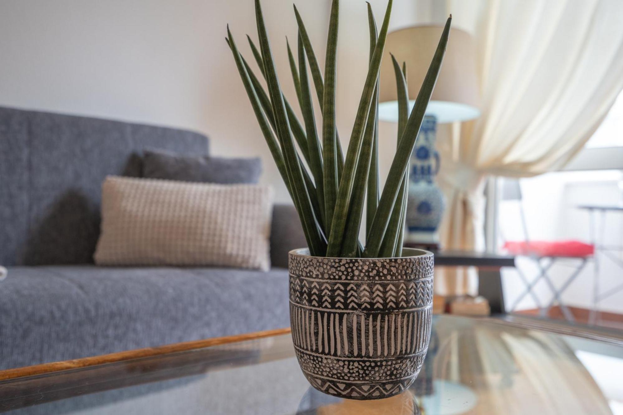 Apartamento Escadinhas Lagos Zewnętrze zdjęcie